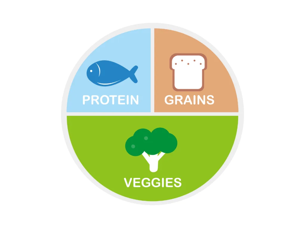 dietitian plate model for food portions with viggies, protien and grains 